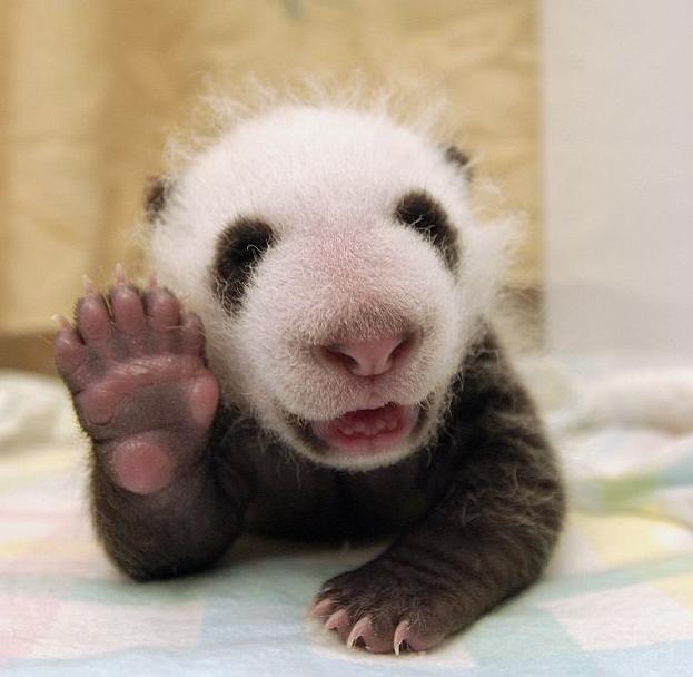 A Great HTML Resource